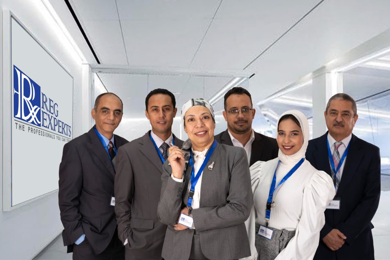 RegExperts Team Collaboration